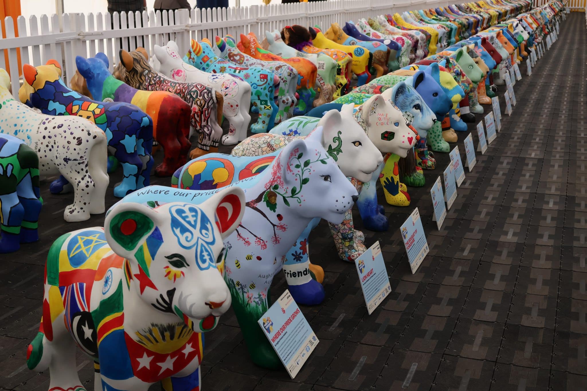 A Roaring Finale: Celebrating Loadhog Foundation’s Pride of Yorkshire Journey